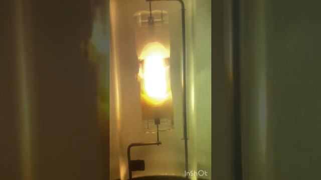 Запуск лампы ДРИ 250w BLV TOPFLOOD в светильнике ЖКУ21-250 от @DENIS смотреть онлайн