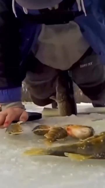 Рыбалка#смешно #грех #юмор #чёрныйюмор #подпишись #рыба смотреть онлайн