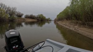 Ловля Воблы 2025 год в запрет как оно