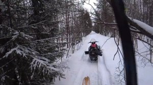 ОХОТА С ОДНОСТВОЛКОЙ МР-18ЕМ-М СПОРТИНГ НА БОРОВУЮ ДИЧЬ