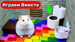 Хомяк в сложном лабиринте 🐹 Побег Умного Хомяка из лабиринта с препятствиями 🐹 Видео для детей