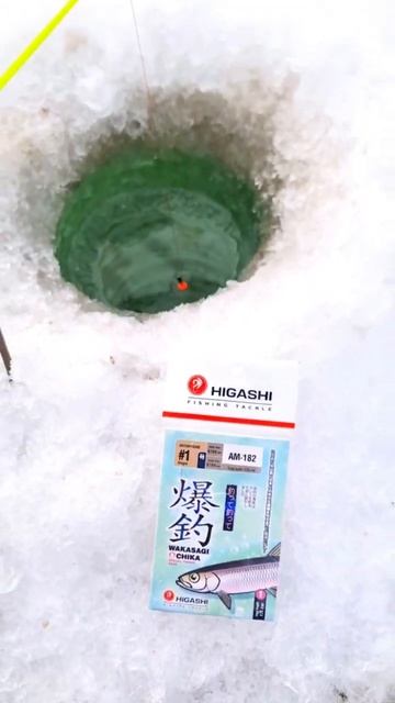 Зимняя рыбалка на корюшку с оснасткой HIGASHI серии AM 182 смотреть онлайн