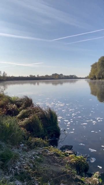 Рыбалка в Подмосковье 🎣 Подпишись🤝 #рыбалка #спинни? смотреть онлайн