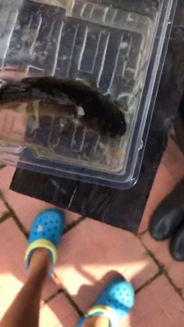 Увлекаюсь я спортивной рыбалкой) #спорт #рыбалка #рыба смотреть онлайн