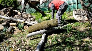 #stihl  Бензопила заглохла и не заводится
