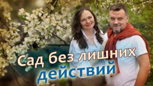 Малоуходный сад на даче：ВСЁ, ЧТО ВЫ ХОТЕЛИ УЗНАТЬ