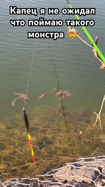 Рыболовный магазин 🇰🇿ПОПЛАВОК🇰🇿 жансугурова 311 #к смотреть онлайн