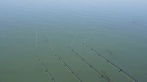 Рыбалка в хуторе Рогожкино