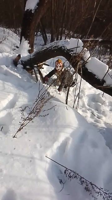 а около вашего дома есть лес? #квадробика #квд #териан #? смотреть онлайн