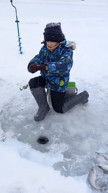 Первый ЛЁД 2023-2024. Сын учиться ловить с 8 метровой глуби?