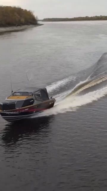 Щуки северных рек, премьера скоро! смотреть онлайн