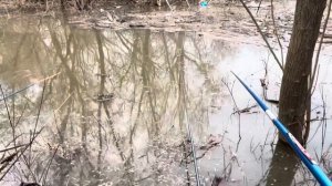 Рыбалка на Томи 2025 Мозжуха