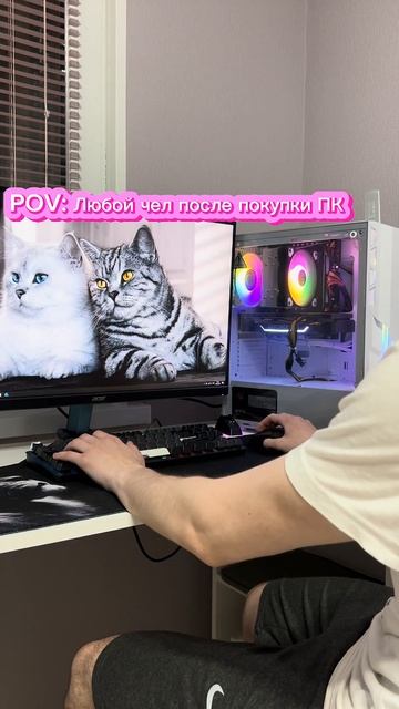 Любой чел после покупки пк #пк #сборка #игры #жиза #мем #? смотреть онлайн
