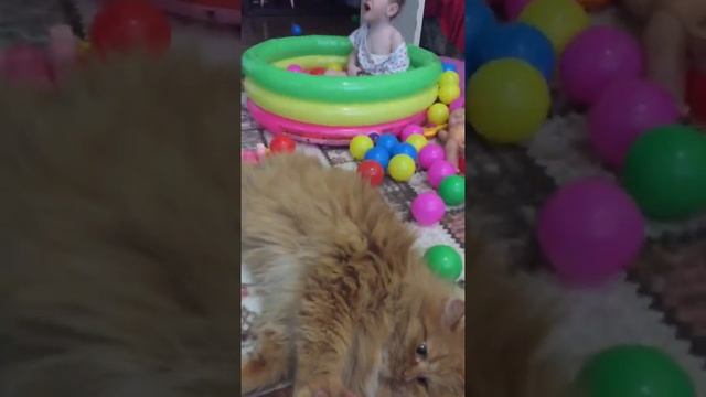 Ламповый эфир ВК. Доча играет в сухом бассейне. смотреть онлайн