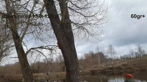 Обзор бюджетного фидера Daiwa Ninja