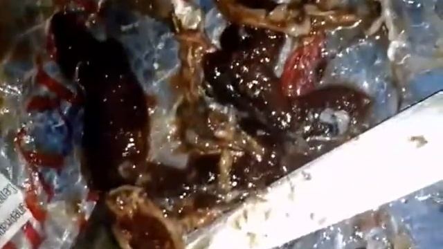 Глисты в селедке смотреть онлайн