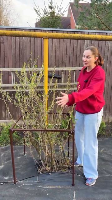 Что обязательно нужно успеть сделать весной на даче? смотреть онлайн