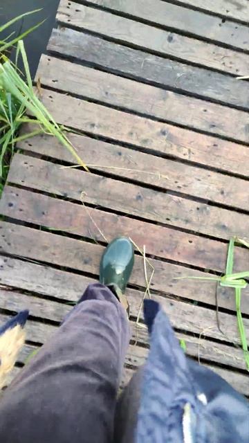 тихое место #automobile #рыбалка #fishing #лето #nature #природа смотреть онлайн