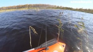 OmskSpin #113. Рыбалка на живописном озере Омской области. Щ?