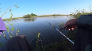 Ловля на маховую удочку в мае. Рыбалка весной на поплавок.
