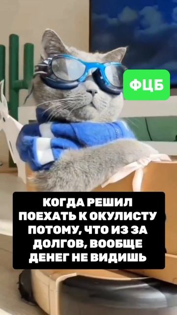 Нет возможности платить по кредитам и займам? Получит? смотреть онлайн