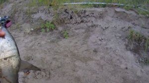 рыбалка на ахтубе, новое место.