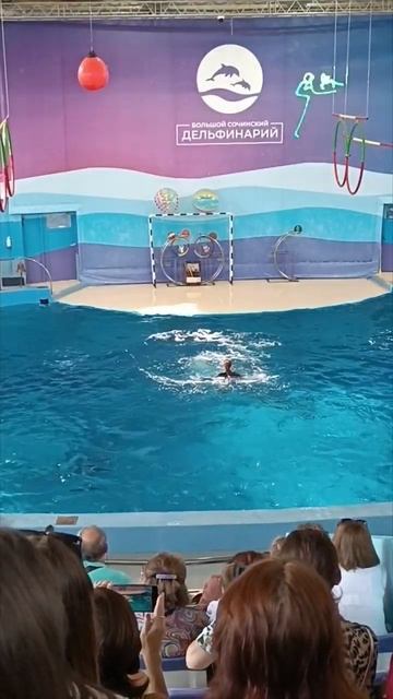 Танцы с дельфинами #сочи #дельфинарий #swimming #дельфин смотреть онлайн