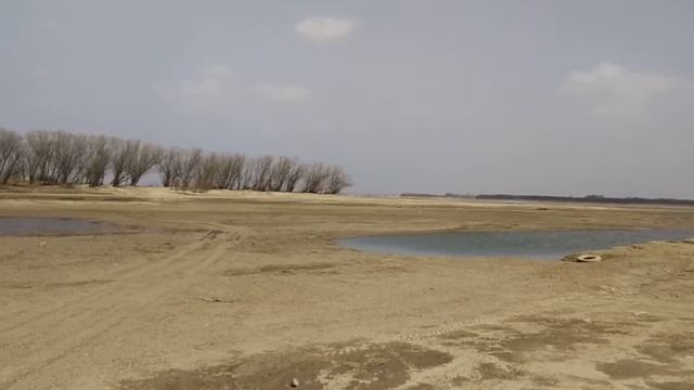 Лодочная в Мичуринском 24.04.19 смотреть онлайн