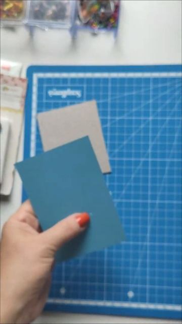 Как установить брадс - небольшая видео инструкция.Вам