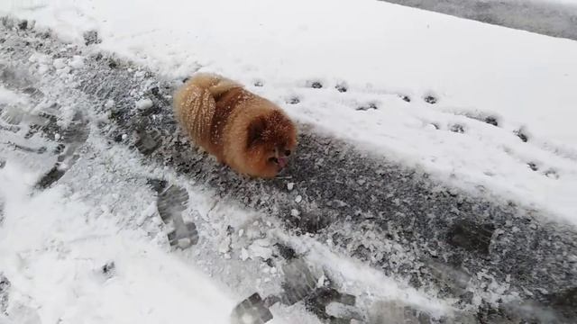 12.11.21 Первый снег смотреть онлайн