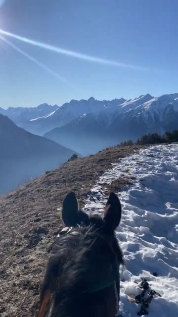 Карачаевская порода лошадей. ТЕБЕРДА, АРХЫЗ, Учкулан, ? смотреть онлайн