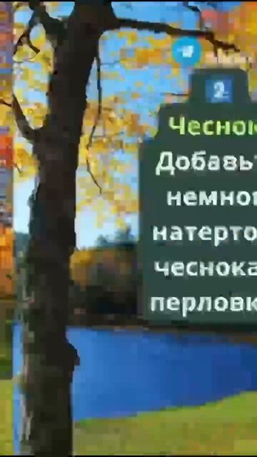 Это осенью 🐟🐟🐟. #рыболовная #рыбалка #fishing #рыба #carp смотреть онлайн