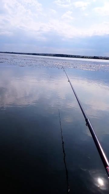 Рыбалка на Черновском водохранилище смотреть онлайн