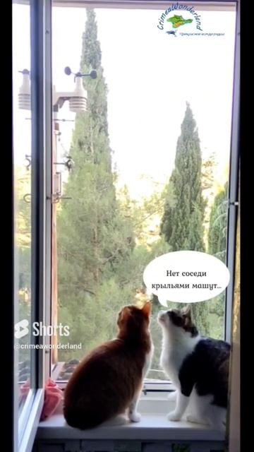 Сегодня прекрасная погода +28  море +24  легкий бриз