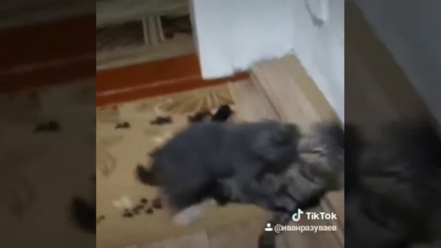 Начинающий борец смотреть онлайн