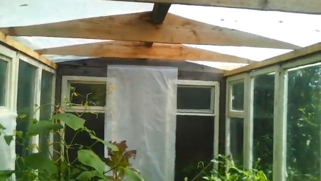 Гуляю у дома! смотреть онлайн