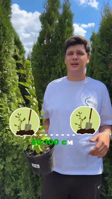 В этом видео вы узнаете, как создать красивую и функци? смотреть онлайн