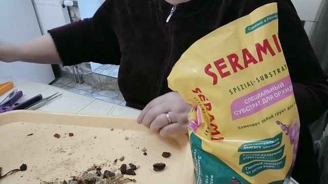 Самая быстрая, самая лёгкая, самая простая пересадка.