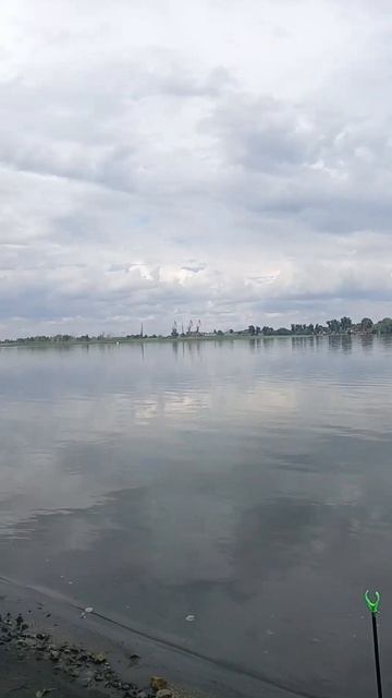 рыбалка Калач на Дону. 07.08.2024 смотреть онлайн