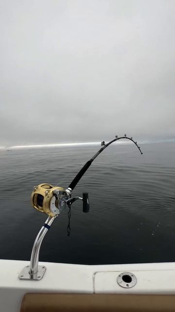 Магадан рыбалка на палтуса … #рыбалка #туризм #fish #fishing смотреть онлайн