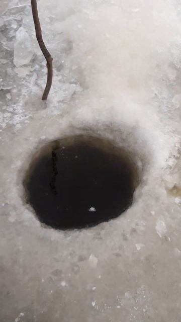 Рыбалка г. Свободный Амурская область смотреть онлайн