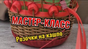 Мастер-класс по плетению "розочек" на кашпо