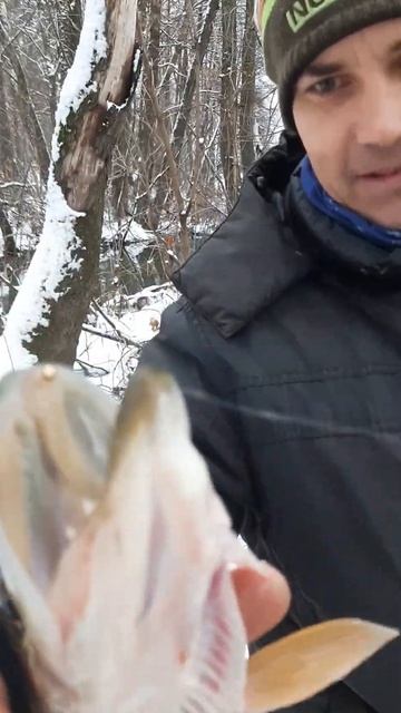 30 ноября 2024 г. смотреть онлайн