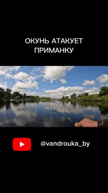 СТАЯ ОКУНЯ АТАКУЕТ ПРИМАНКУ (ТЕЙЛ-СПИННЕР). ЛОВЛЮ ОКУН? смотреть онлайн