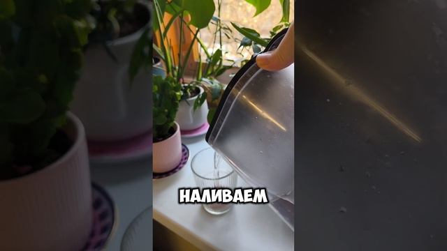 Рекомендую очень сильно WB 242894093У них 4 вкуса лесная яго смотреть онлайн