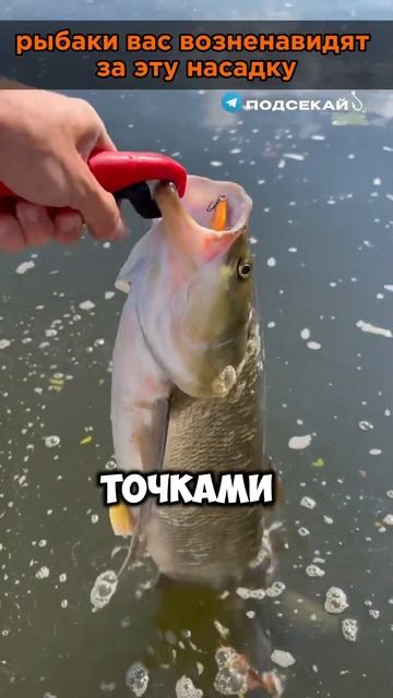 Насадка за которую другие рыбаки вас будут ненавидеть смотреть онлайн