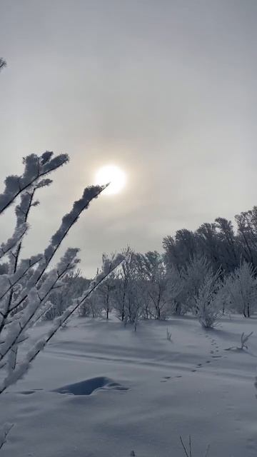 САМОЕ КРАСИВОЕ УТРО😍😍😍16.03.24 перед рыбалкой #рыбачк? смотреть онлайн