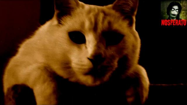 10 признаков того что в вашем доме приведения. смотреть онлайн