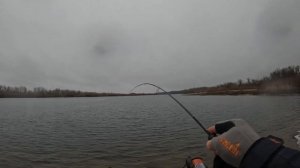 Evergreen Poseidon Superior SPRS-64UL-T. Первое знакомство