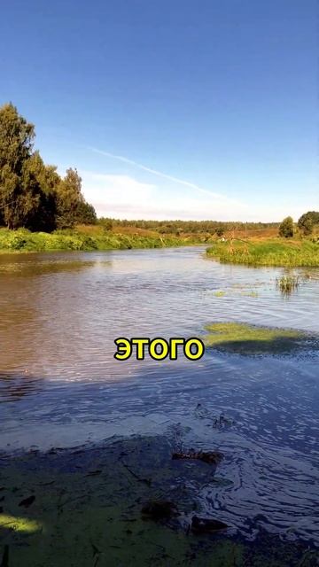 ЖЕНЫ РЫБАКОВ ПОЙМУТ! 😆🎣🐟 РЫБАЛКА | ПРИКОЛ | #рыбалка смотреть онлайн